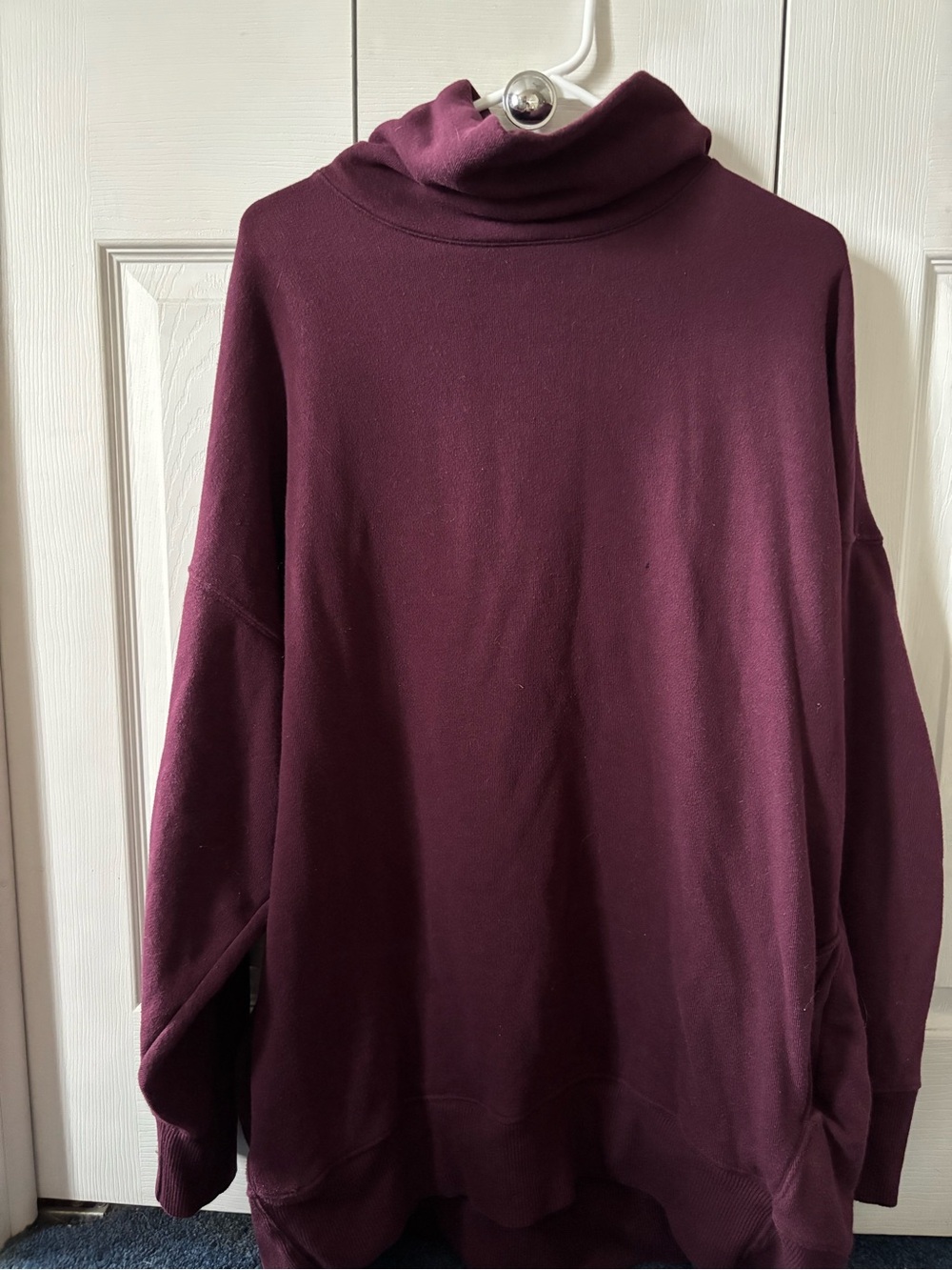 Aerie Sweatshirt in Deep Plum